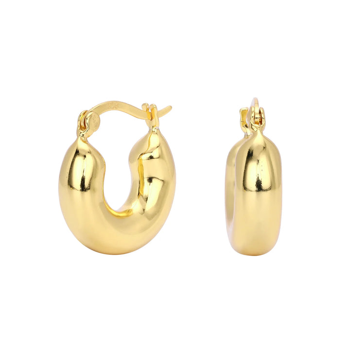 Classic Round Hoops Earrings, 925 Sterling Silver & Gold Plated